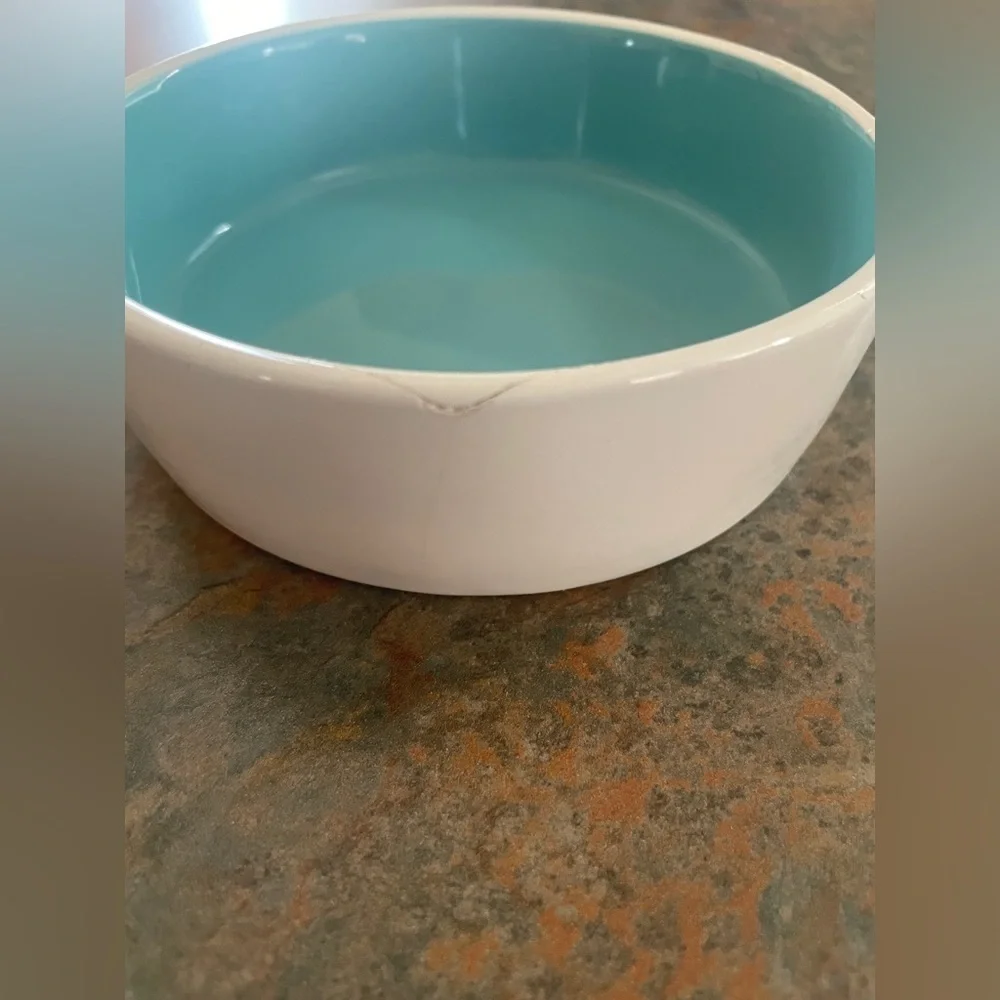 *host pick* Rae Dunn Small Dog/Cat Water Bowl Teal Inside